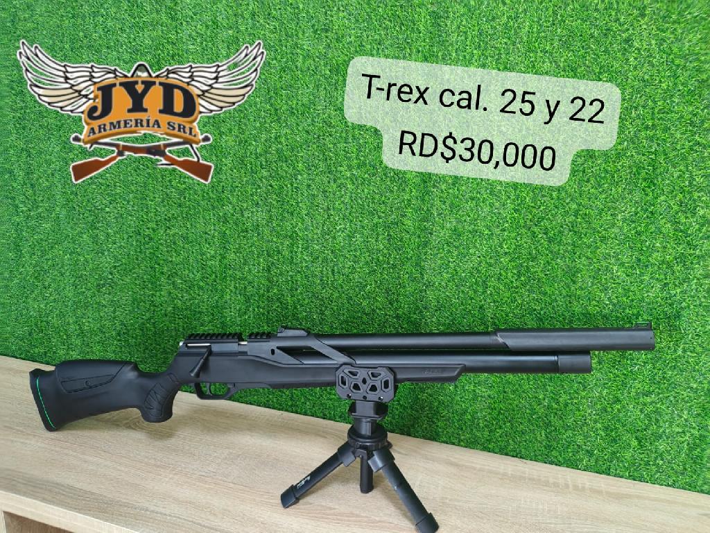 Rifles disponibles  en Santo Domingo Oeste Foto 7308970-1.jpg