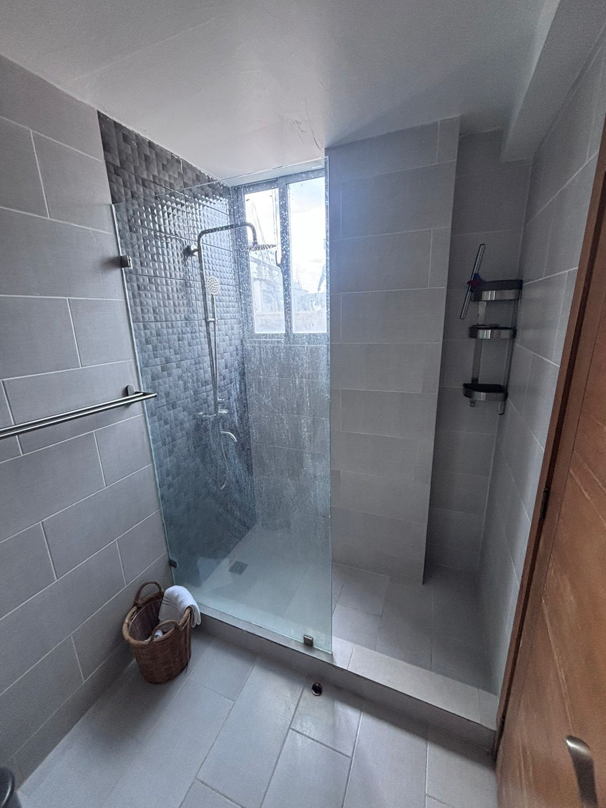 Apartamento en Venta y Alquiler Amueblado  – ENSANCHE  NACO Santo Domi Foto 7309231-6.jpg