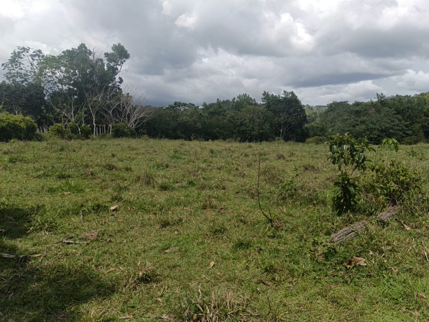 Finca de 172 tareas ganaderas en Monte plata Foto 7309241-11.jpg