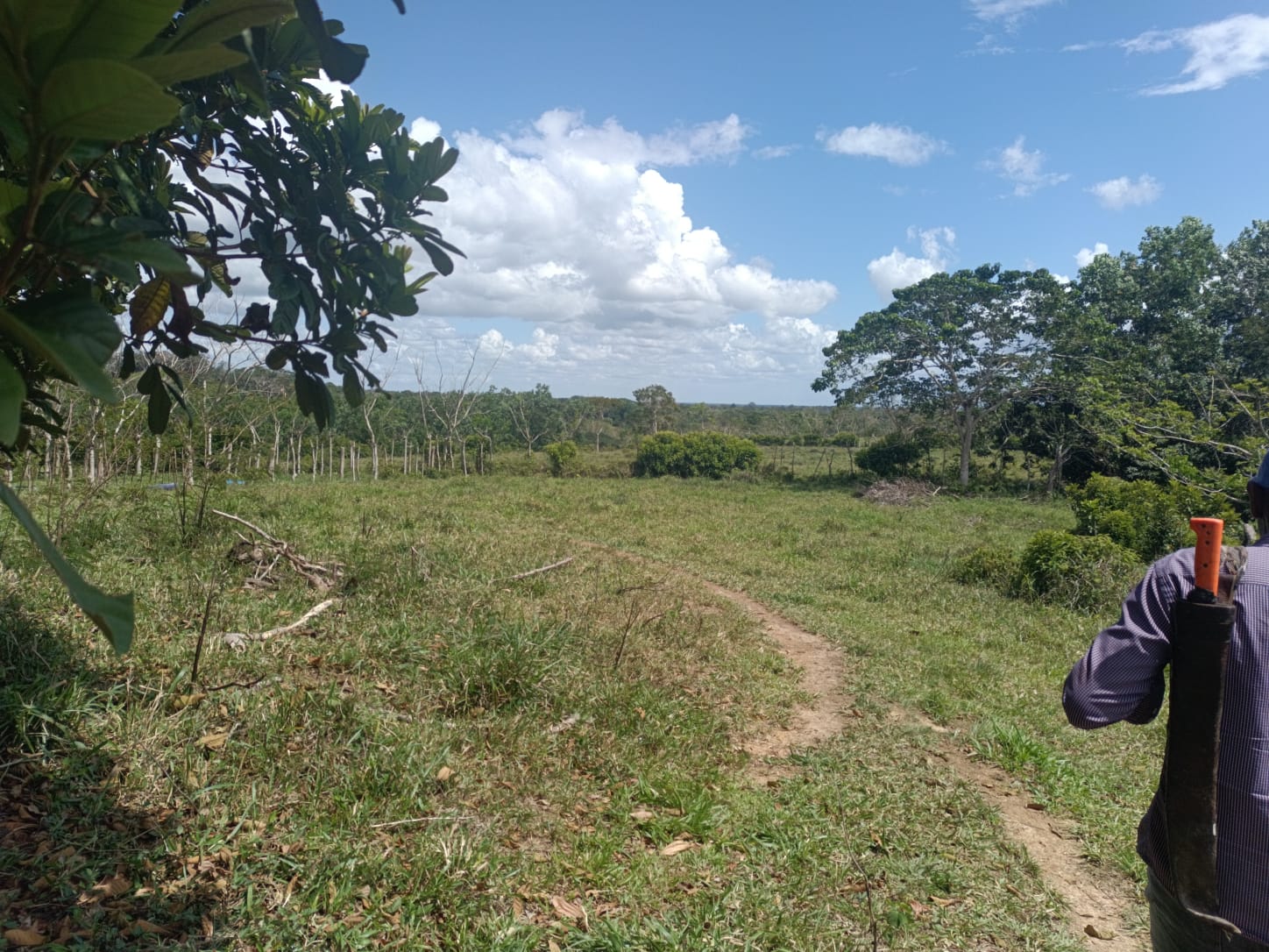 Finca de 172 tareas ganaderas en Monte plata Foto 7309241-12.jpg