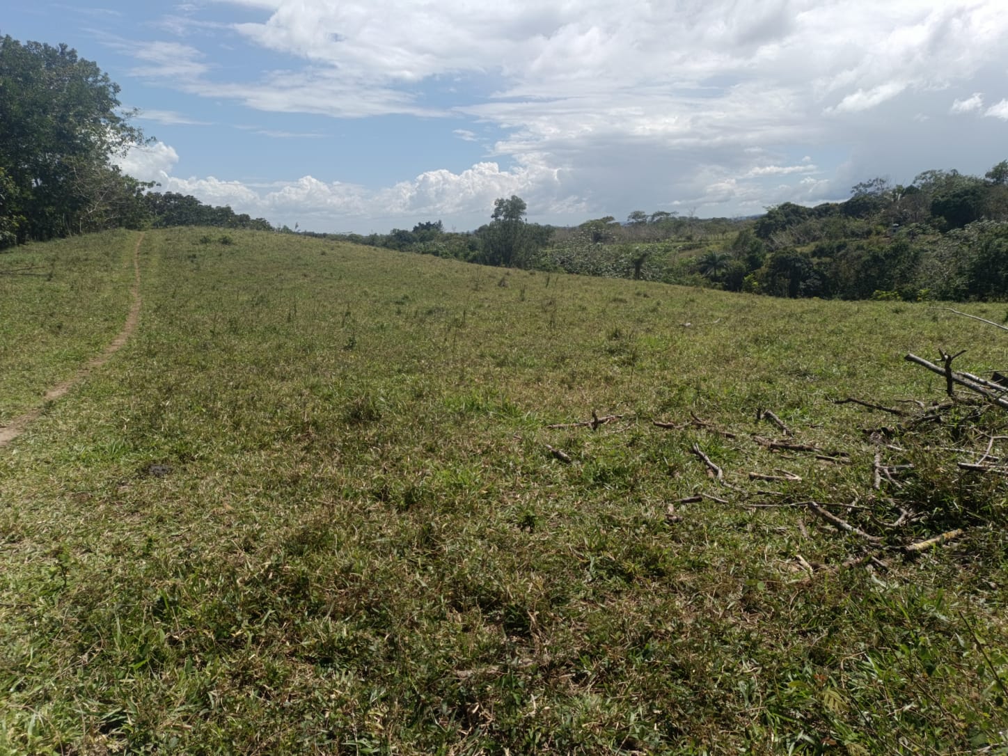 Finca de 172 tareas ganaderas en Monte plata Foto 7309241-3.jpg