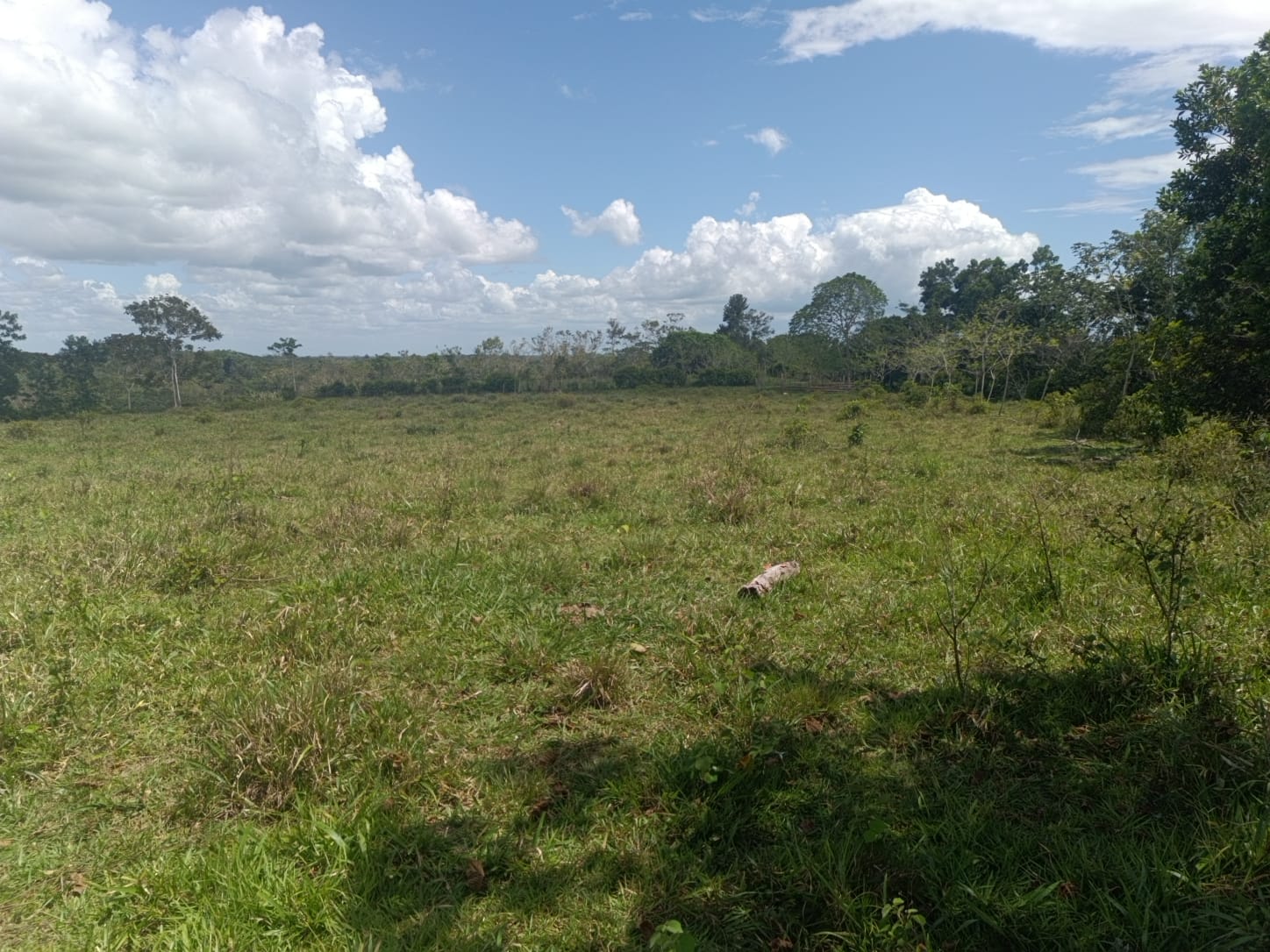 Finca de 172 tareas ganaderas en Monte plata Foto 7309241-5.jpg