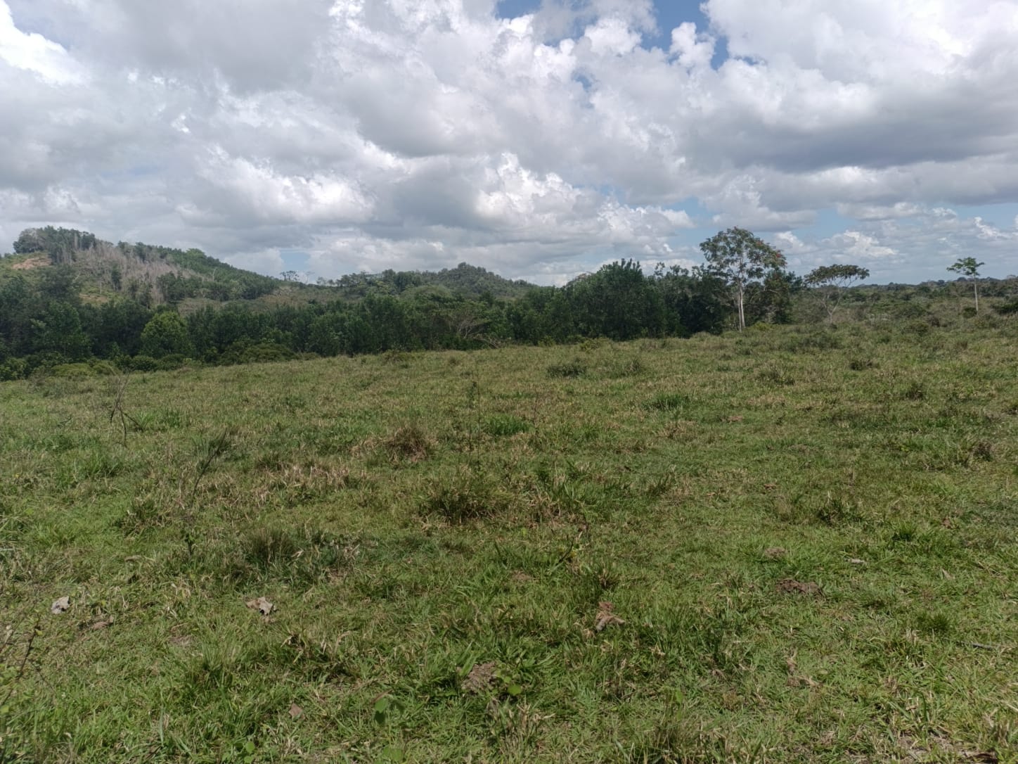 Finca de 172 tareas ganaderas en Monte plata Foto 7309241-7.jpg