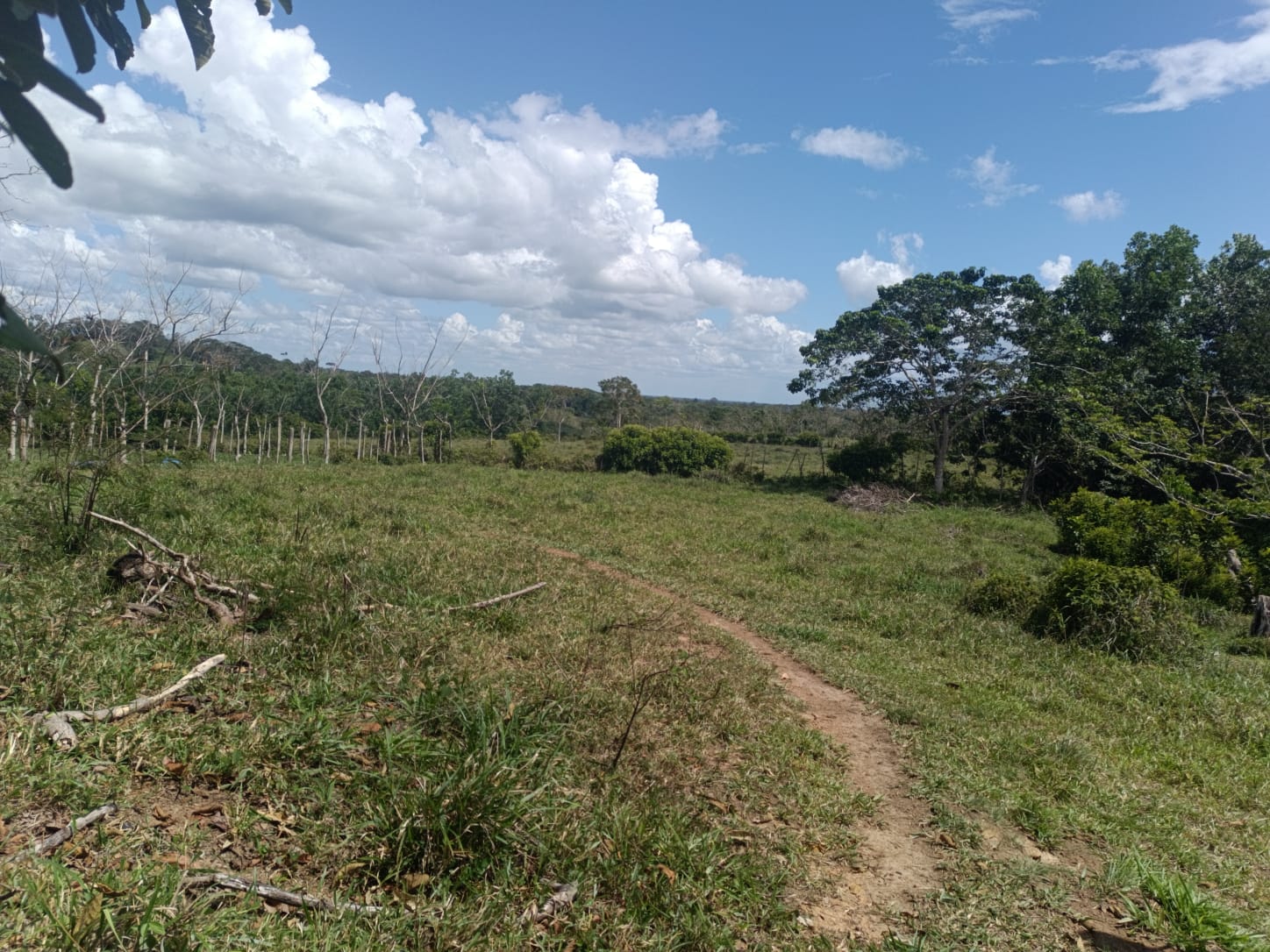 Finca de 172 tareas ganaderas en Monte plata Foto 7309241-8.jpg