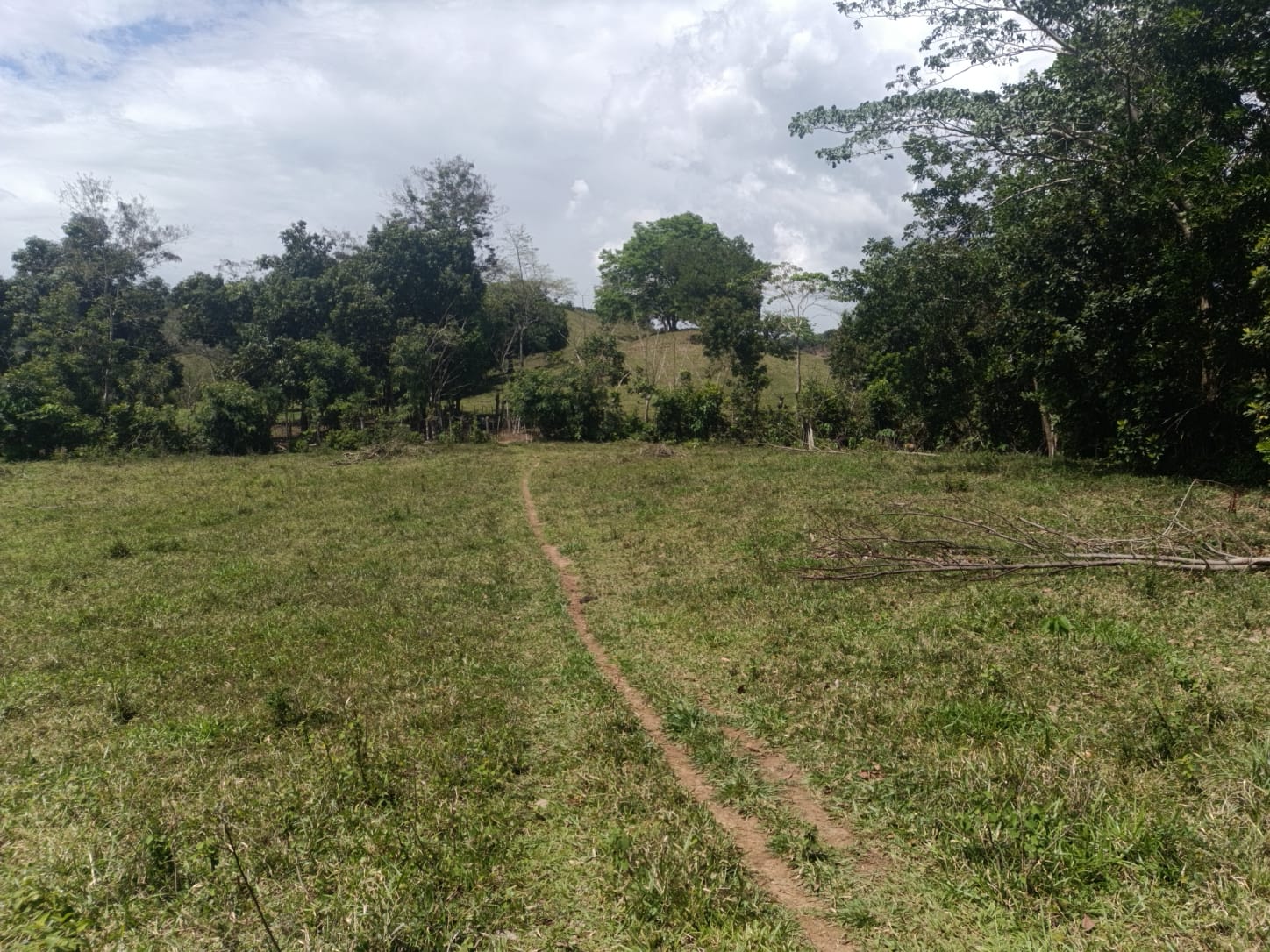 Finca de 172 tareas ganaderas en Monte plata Foto 7309241-9.jpg