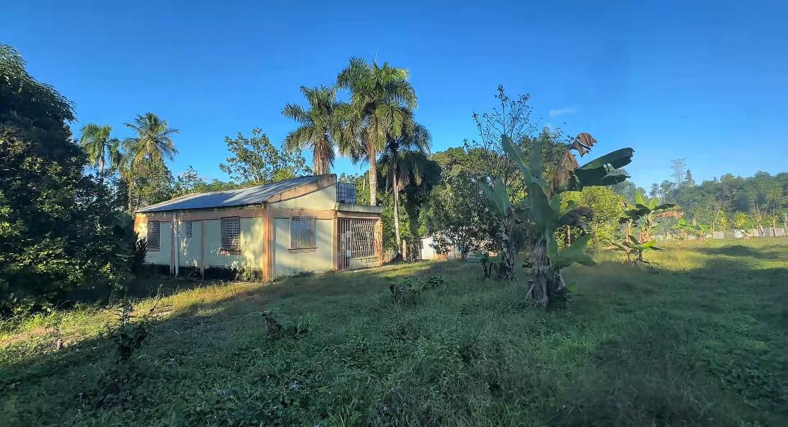 Finca de 14 tareas con casa campestre y piscina en Monte Plata  Foto 7309247-8.jpg