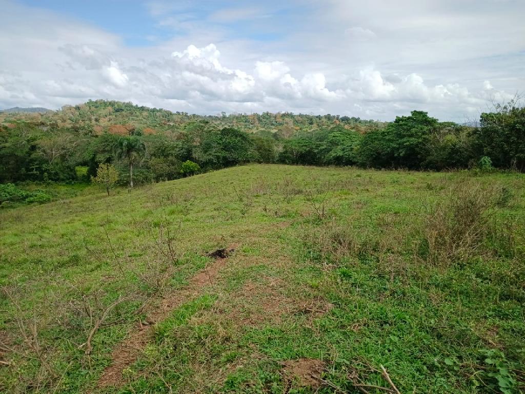 Finca de 100 tareas con vocación agrícola y ganadera en Yamasá  Foto 7309259-1.jpg