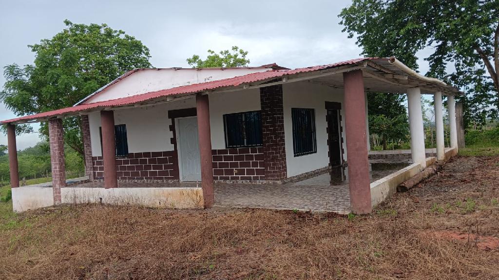 Finca de 376 tareas ganaderas en Sabana Grande de Boyá Foto 7309270-1.jpg