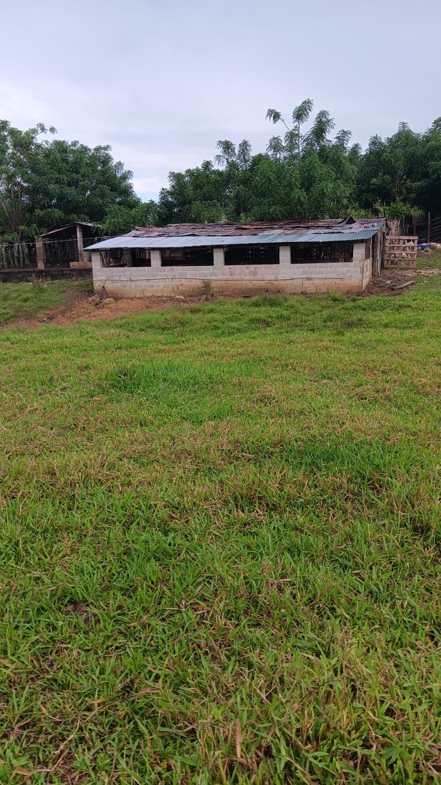 Finca de 376 tareas ganaderas en Sabana Grande de Boyá Foto 7309270-2.jpg