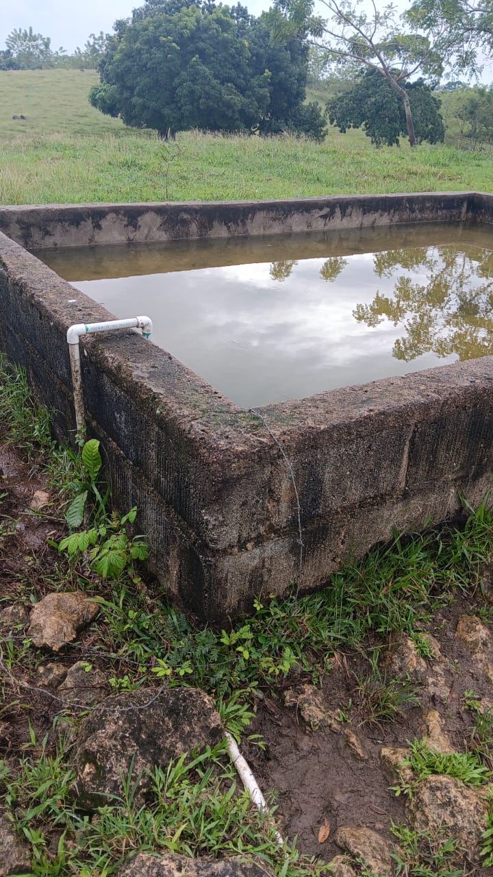 Finca de 376 tareas ganaderas en Sabana Grande de Boyá Foto 7309270-4.jpg