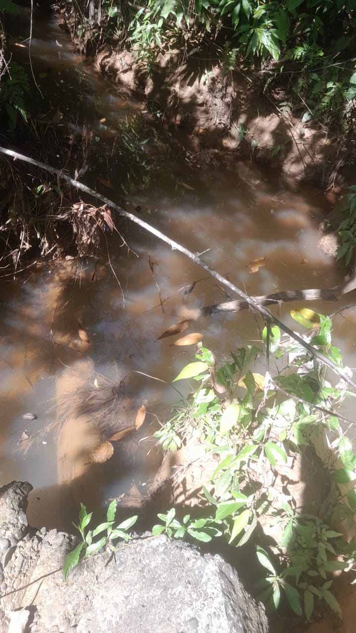 Finca de 370 tareas con vocación ganadera y agrícola en Sabana Grande  Foto 7309272-2.jpg
