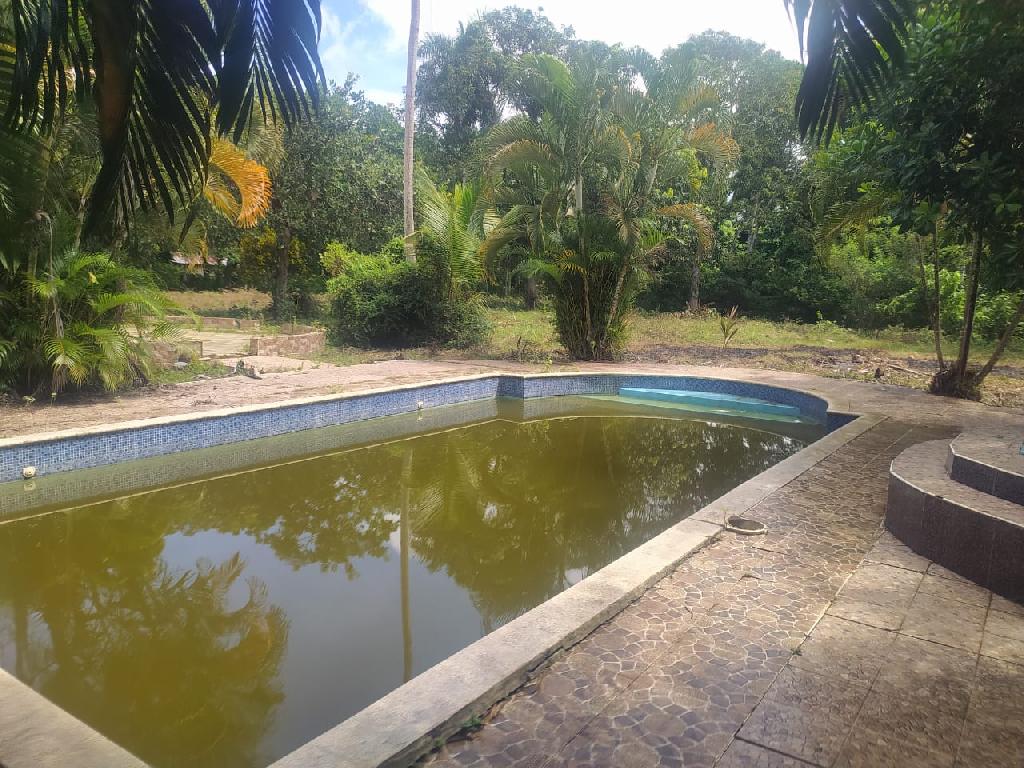 Finca de 57 tareas con casa campestre y piscina con vocación agrícola  Foto 7309276-1.jpg