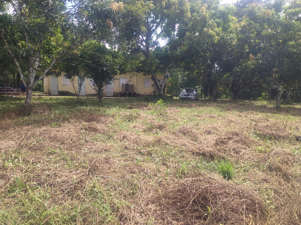 Finca de 57 tareas con casa campestre y piscina con vocación agrícola  Foto 7309276-3.jpg
