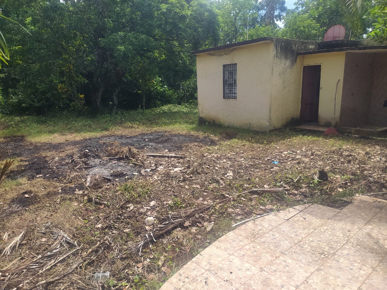 Finca de 57 tareas con casa campestre y piscina con vocación agrícola  Foto 7309276-4.jpg