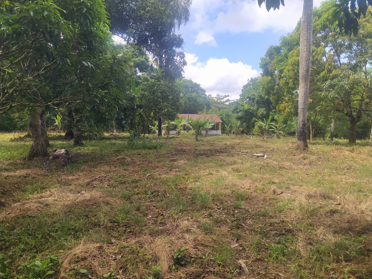Finca de 57 tareas con casa campestre y piscina con vocación agrícola  Foto 7309276-8.jpg