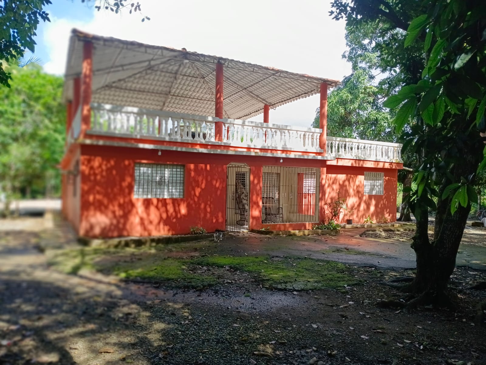 Finca de 12 tareas recreativas con dos casas campestres modernas y pis Foto 7309409-4.jpg