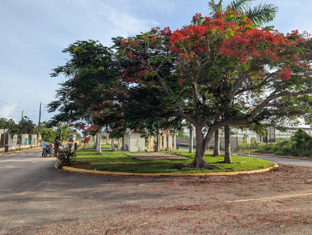 Residencial de casas a la venta Foto 7309480-9.jpg