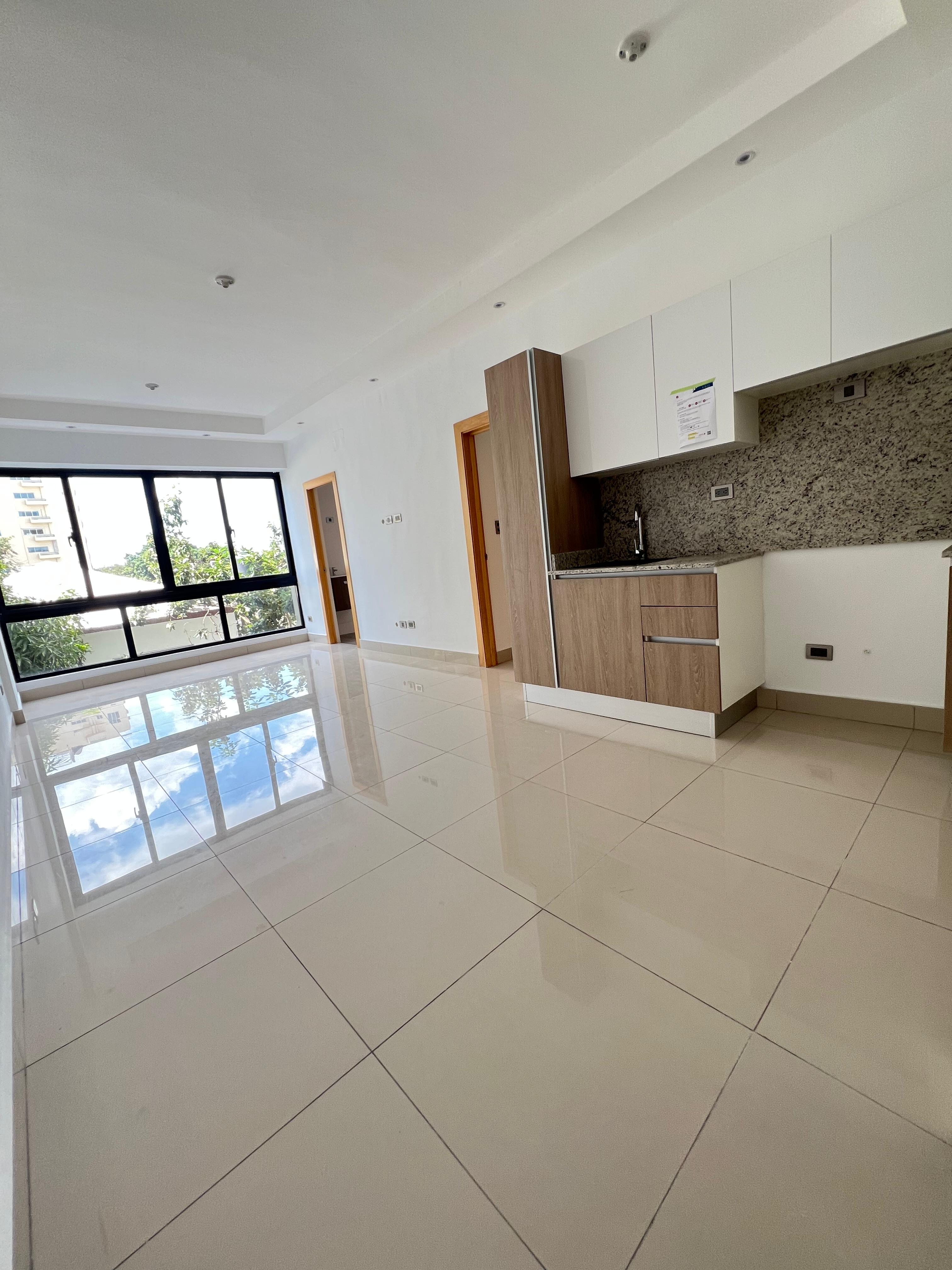Apartamento en Venta en Renacimiento Santo Domingo Distrito Nacional Foto 7309482-2.jpg