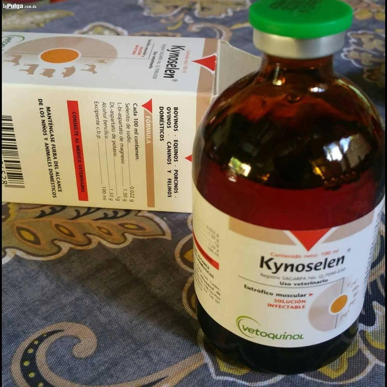 Kynoselen y Diamino para Grandes Atletas y Aumento de Millas Foto 7309490-2.jpg