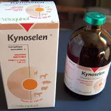 Kynoselen y Diamino para Grandes Atletas y Aumento de Millas Foto 7309490-5.jpg