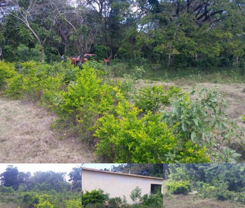 Terrenos En Lineas De Playa Solares En La Ciudad Y Fincas En Venta! Rd Foto 7309553-14.jpg