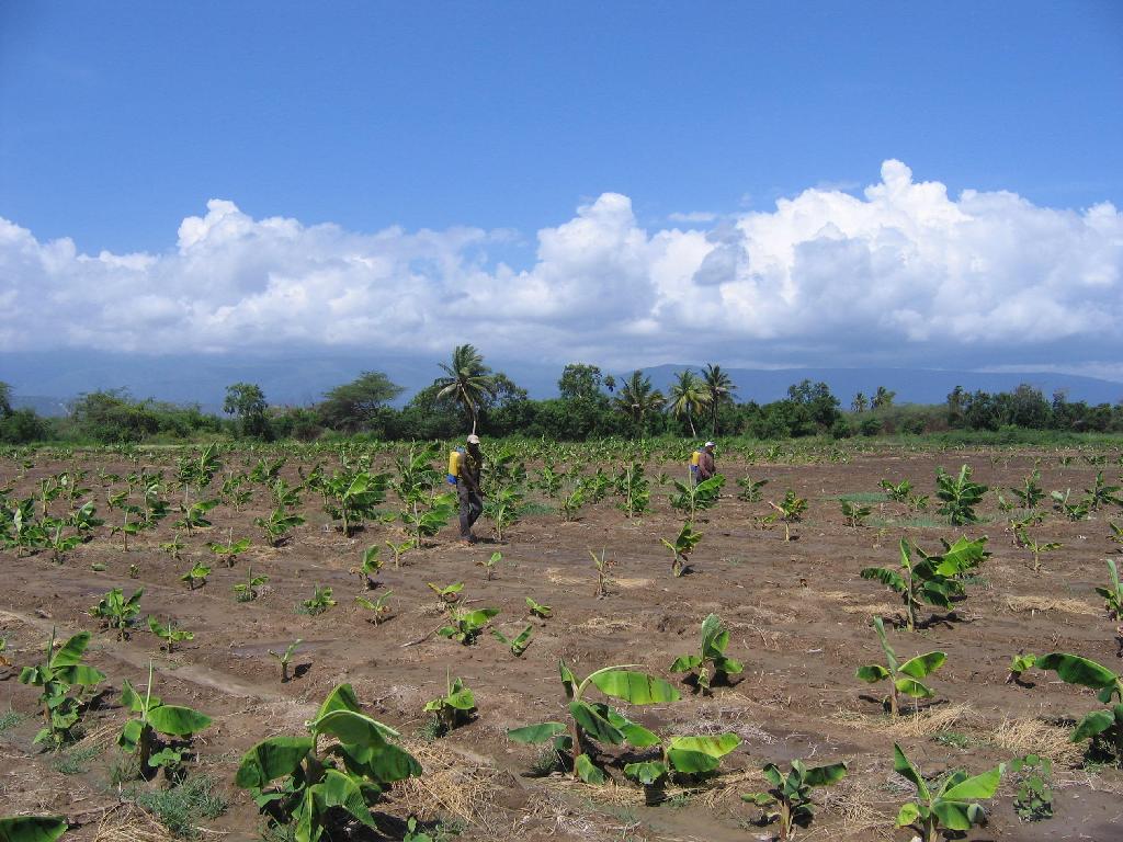 Finca en Tavila / Cabral  Foto 7309620-1.jpg