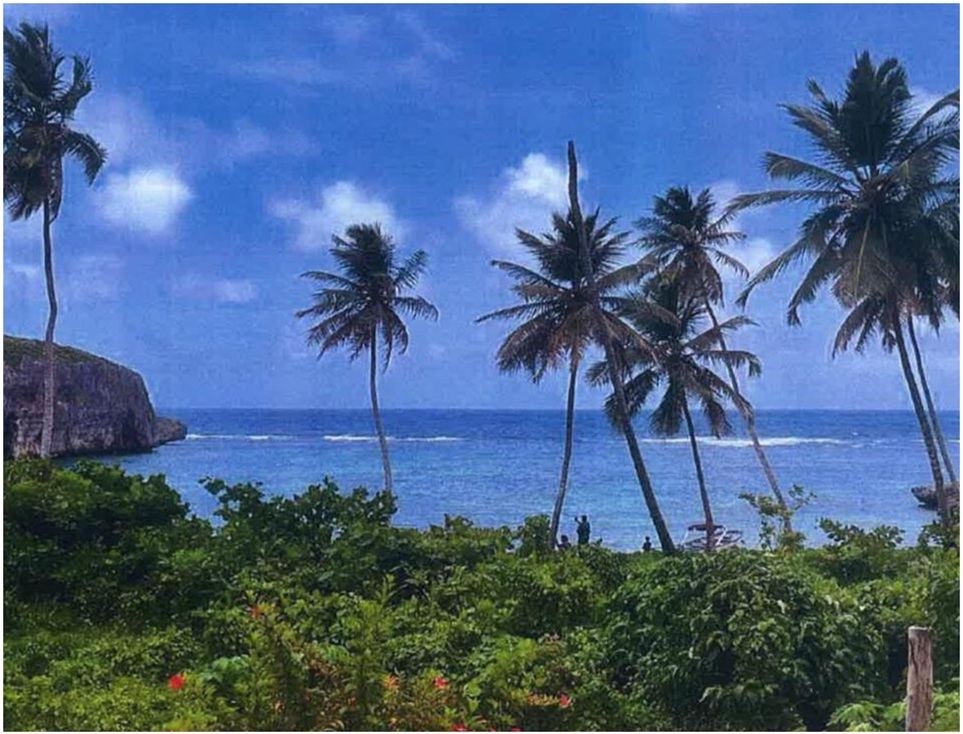 Vendo 72185 Mts.2 CON PLAYA a 100 Mts. Playa MADAMA LAS GALERAS 50 POR Foto 7309786-11.jpg