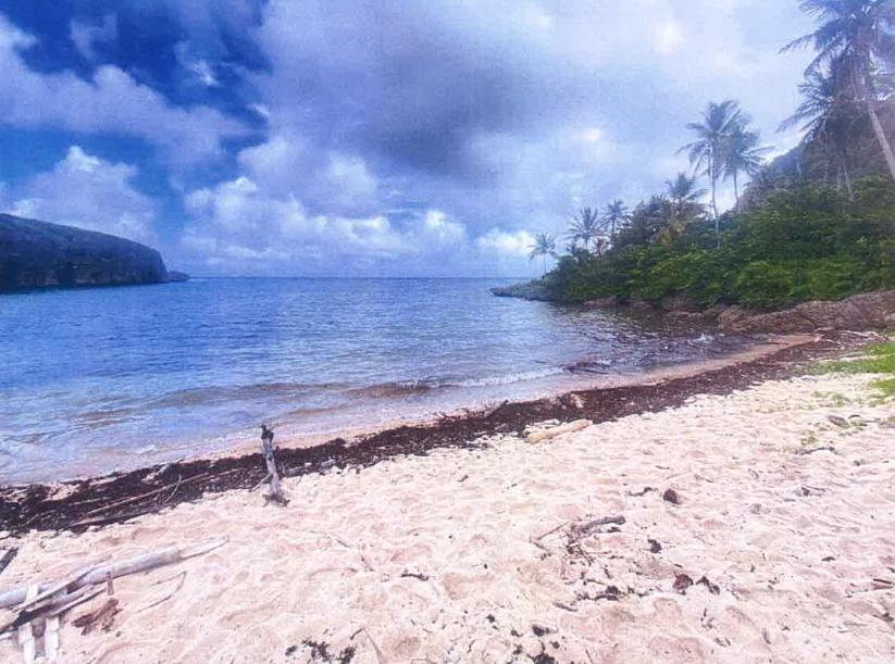 Vendo 72185 Mts.2 CON PLAYA a 100 Mts. Playa MADAMA LAS GALERAS 50 POR Foto 7309786-4.jpg
