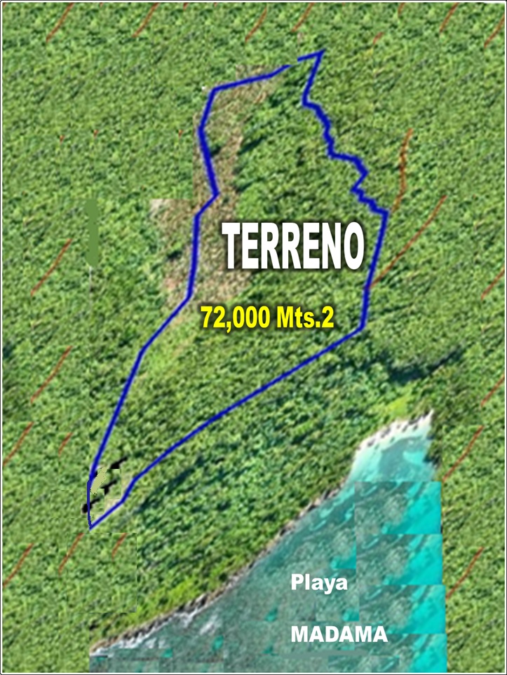 Vendo 72185 Mts.2 CON PLAYA a 100 Mts. Playa MADAMA LAS GALERAS 50 POR Foto 7309786-5.jpg
