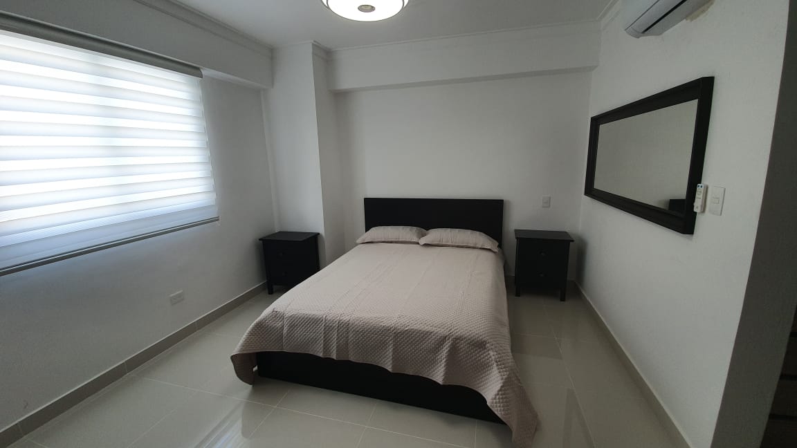 V01-AA-1593 ALQUILO APARTAMENTO AMUEBLADO EN GAZCUE  Foto 7309835-10.jpg