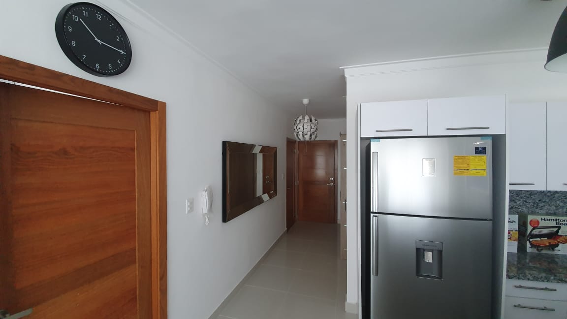 V01-AA-1593 ALQUILO APARTAMENTO AMUEBLADO EN GAZCUE  Foto 7309835-3.jpg