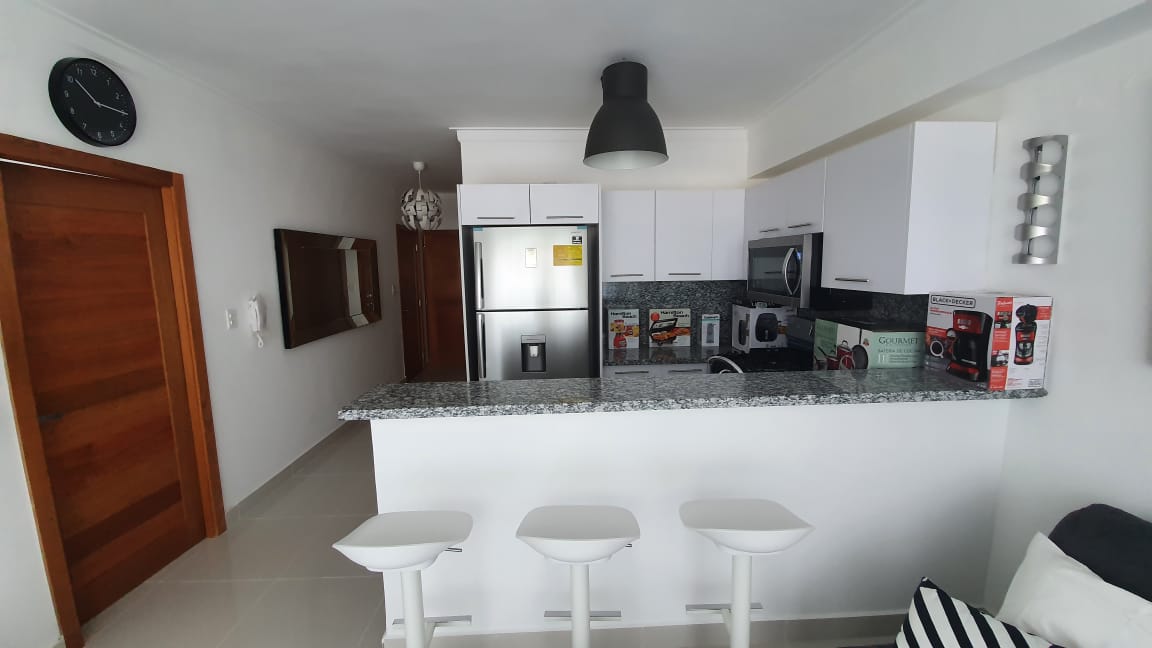 V01-AA-1593 ALQUILO APARTAMENTO AMUEBLADO EN GAZCUE  Foto 7309835-4.jpg