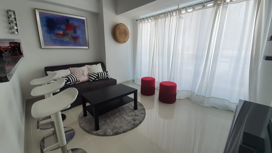 V01-AA-1593 ALQUILO APARTAMENTO AMUEBLADO EN GAZCUE  Foto 7309835-7.jpg