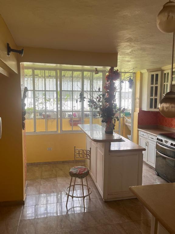 VC-VA-1595– VENTA DE APARTAMENTO EN GAZCUE  Foto 7309837-6.jpg
