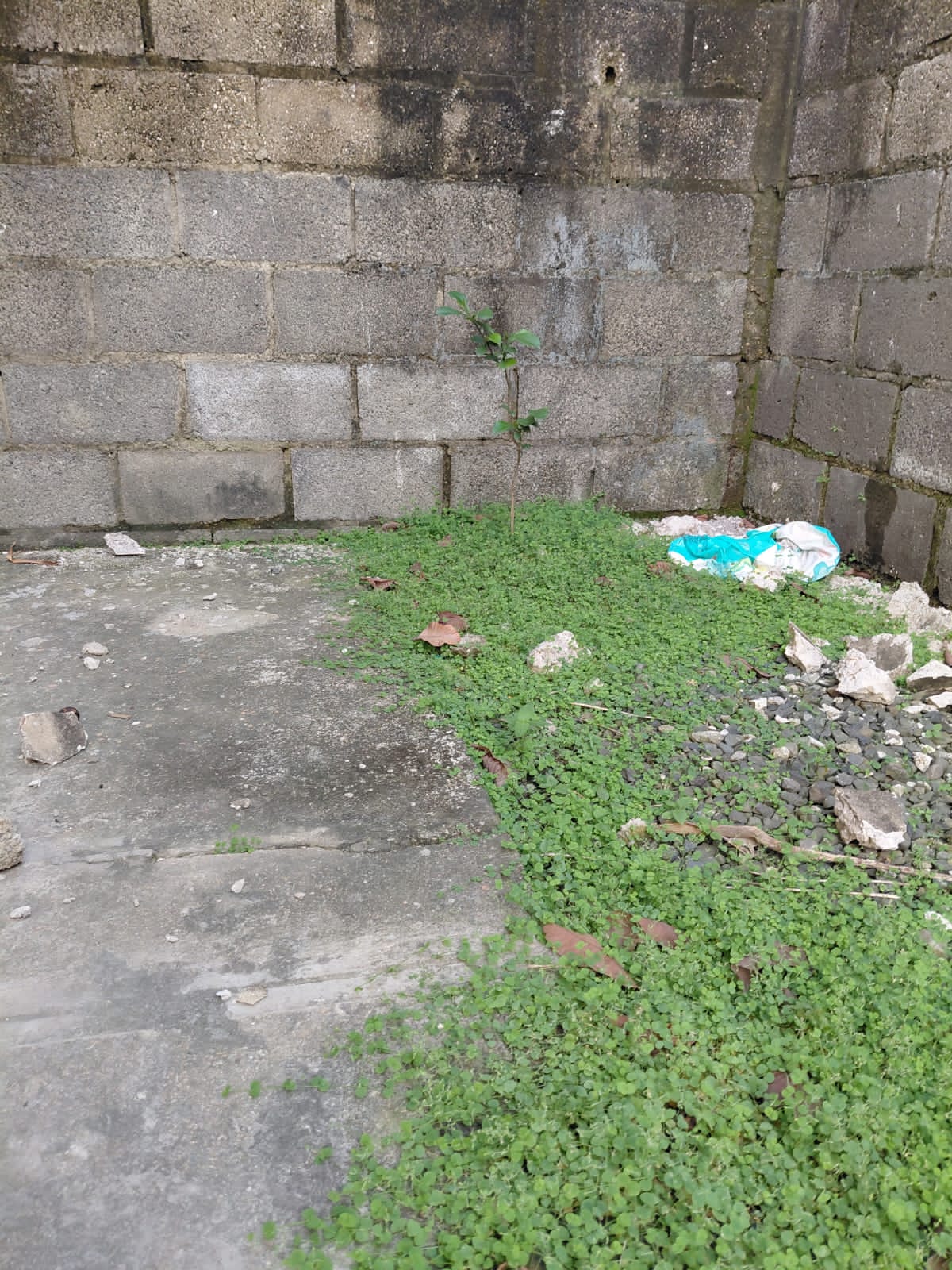 ️ Vendo Amplia Casa en el  ????Km. 14 Autopista Duarte  180 de constr Foto 7309981-6.jpg