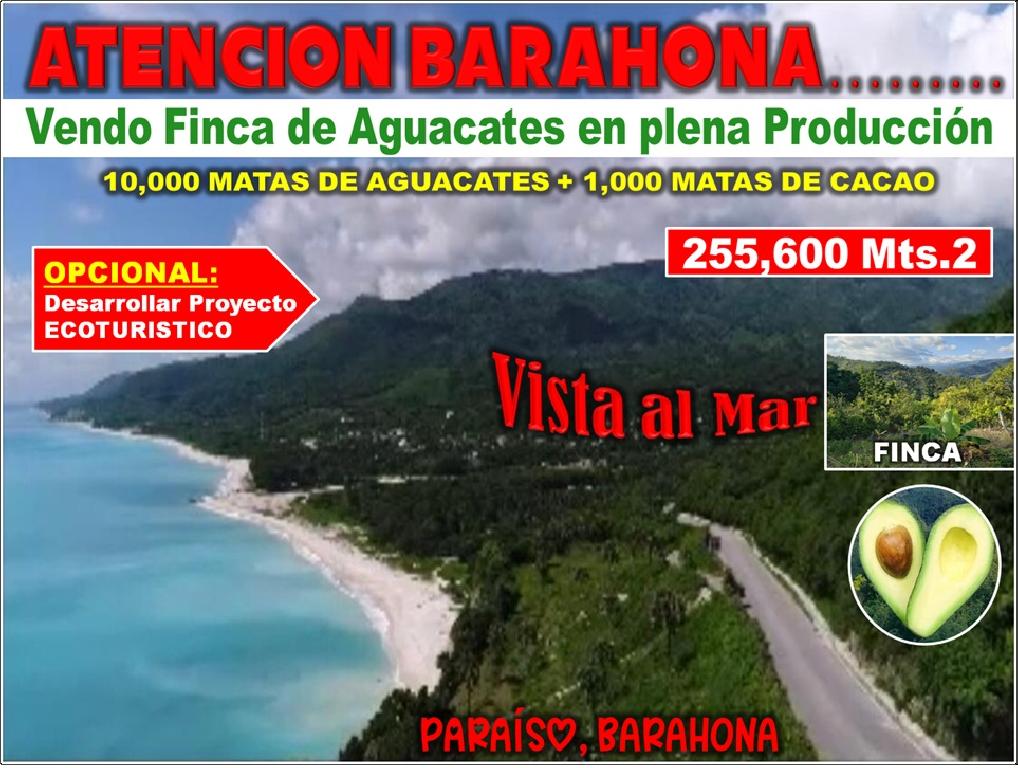 Vendo Finca de AGUACATE en Paraíso BARAHONA 255600 Mts.2 VISTA AL MAR  Foto 7310170-1.jpg