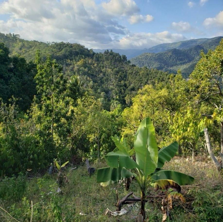 Vendo Finca de AGUACATE en Paraíso BARAHONA 255600 Mts.2 VISTA AL MAR  Foto 7310170-8.jpg