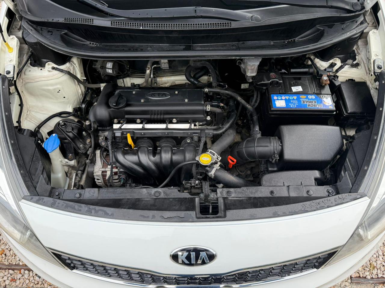 KIA RIO 2016    Foto 7310298-3.jpg