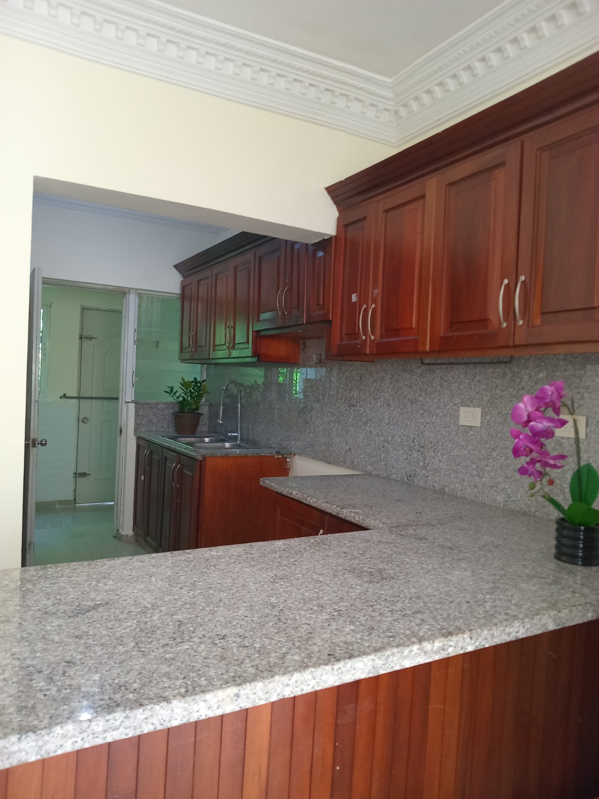 Se vende apartamento Remodelado en el  Residencial Delvisa IX Sector d Foto 7310501-9.jpg