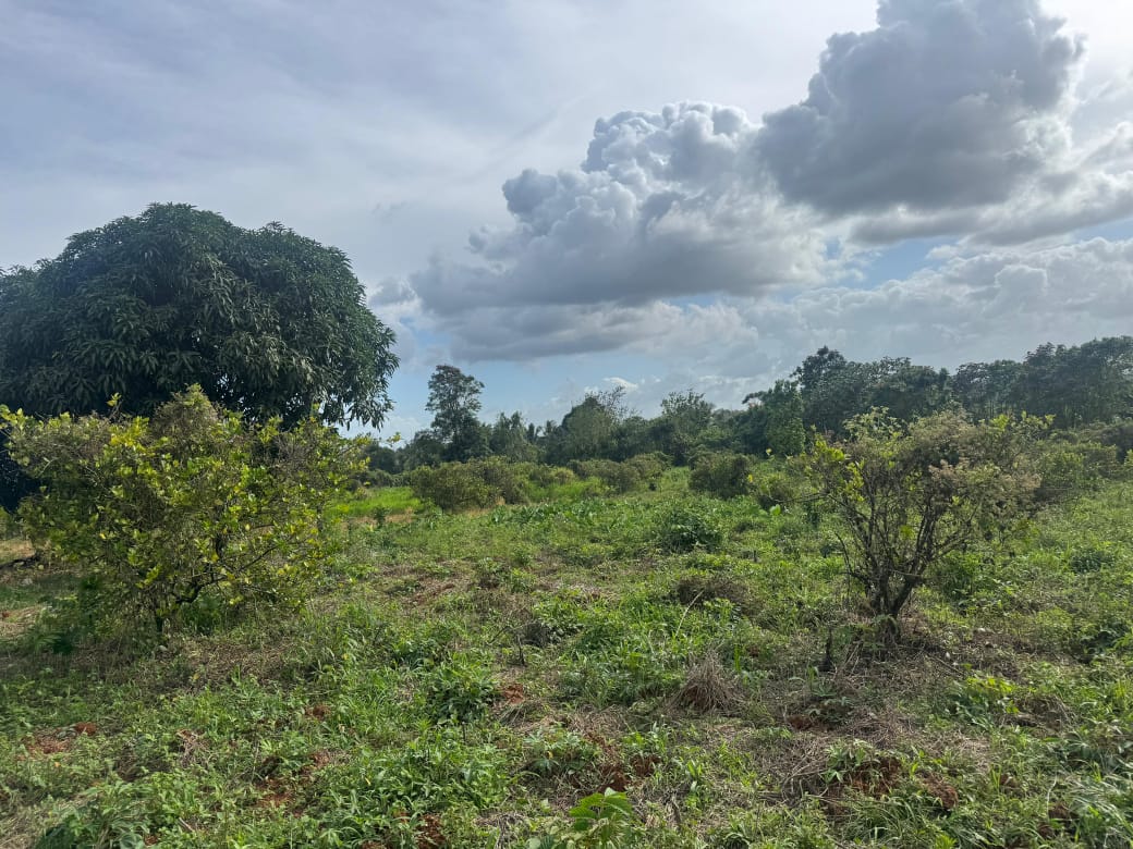 Finca de 55 tareas agrícola ideal para casa campestre en Monte Plata Foto 7310534-2.jpg