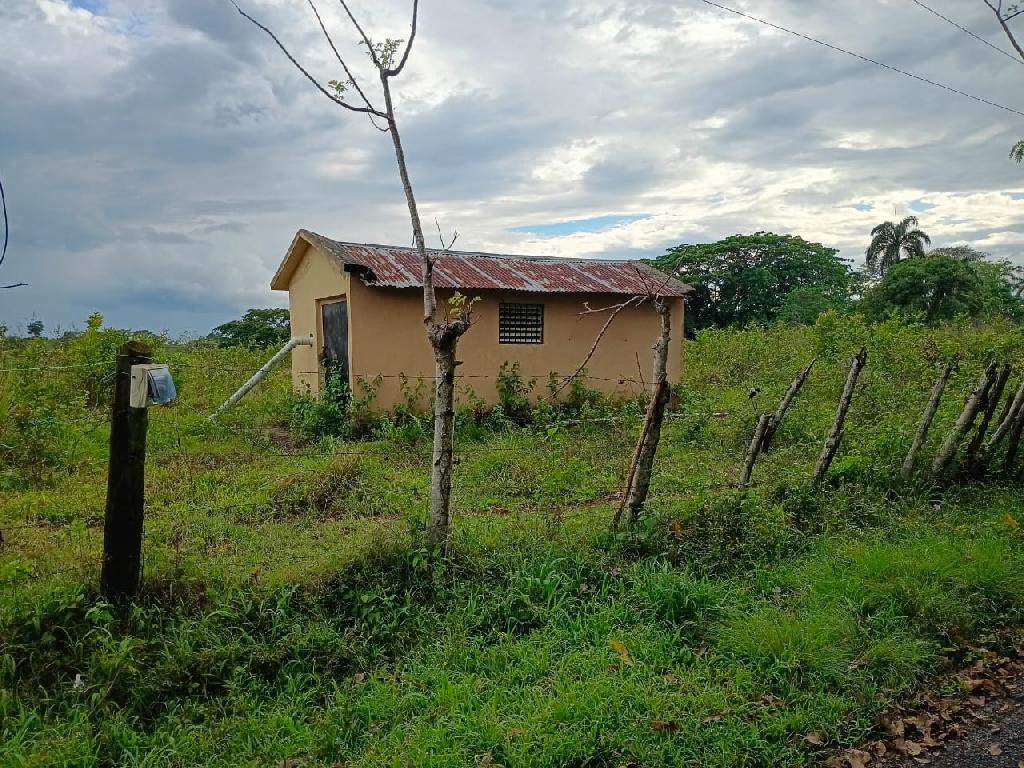Finca de 207 tareas con vocación agrícola y ganadera con casa a remode Foto 7310539-1.jpg