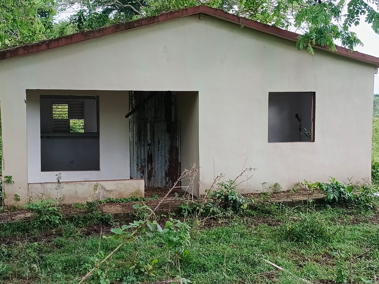 Finca de 207 tareas con vocación agrícola y ganadera con casa a remode Foto 7310539-2.jpg