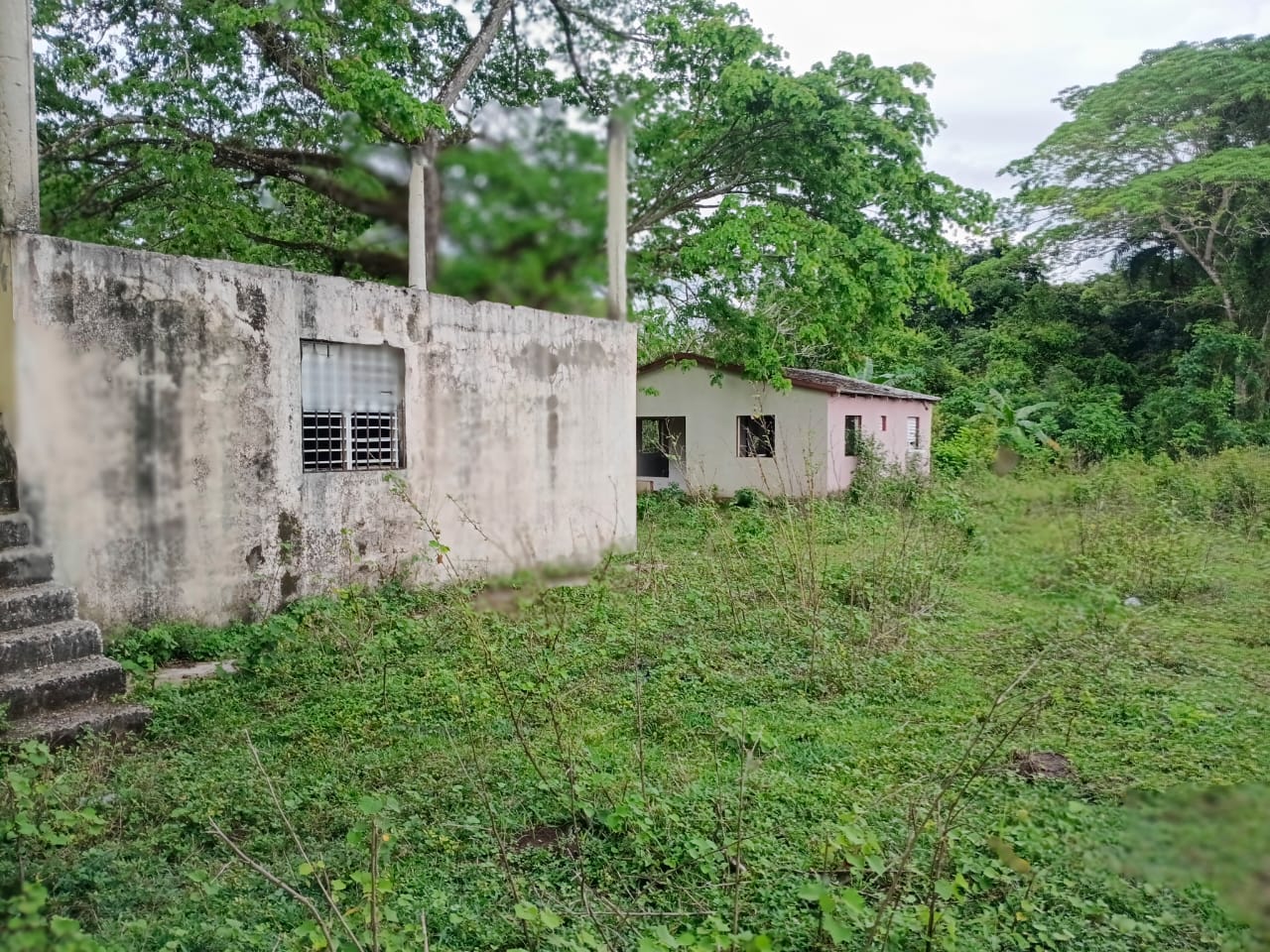 Finca de 207 tareas con vocación agrícola y ganadera con casa a remode Foto 7310539-3.jpg
