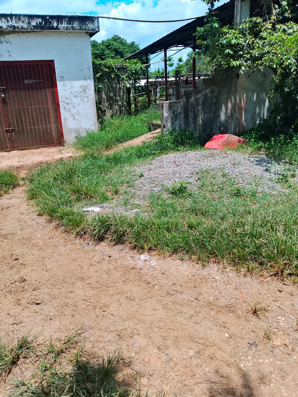 Vendo finca de 1907 tareas ganaderas con 300 cabezas de  ganado inclui Foto 7310540-5.jpg