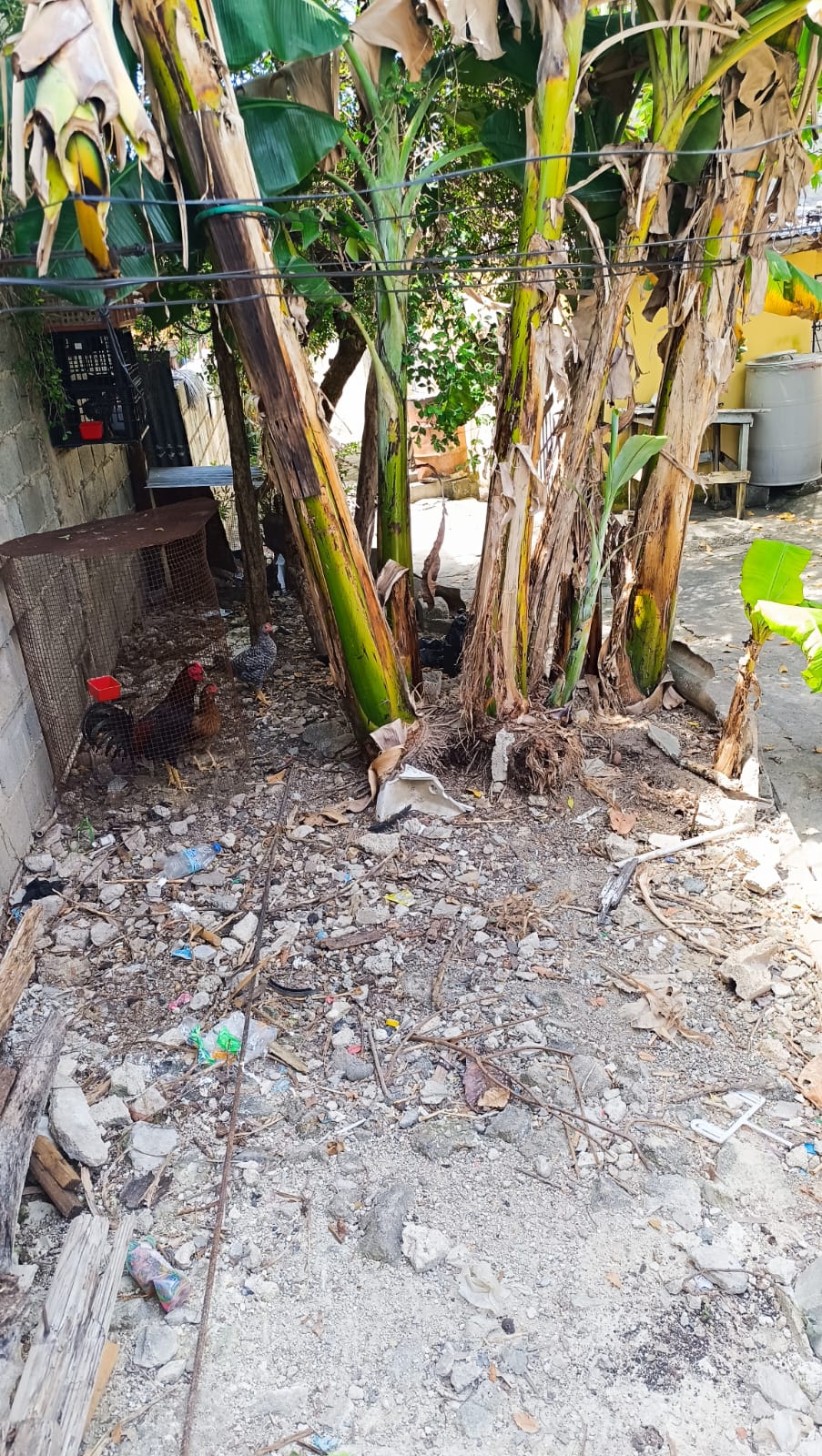 Se vende casas una normal media casa en la Segunda y demás parte atrás Foto 7310548-5.jpg