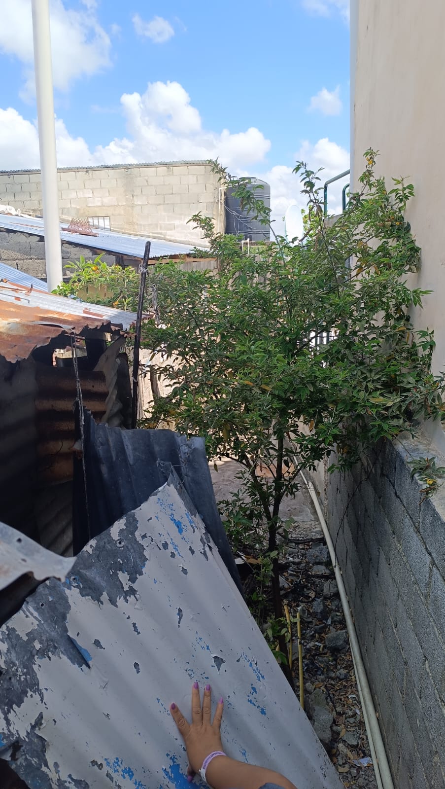 Se vende casas una normal media casa en la Segunda y demás parte atrás Foto 7310548-6.jpg