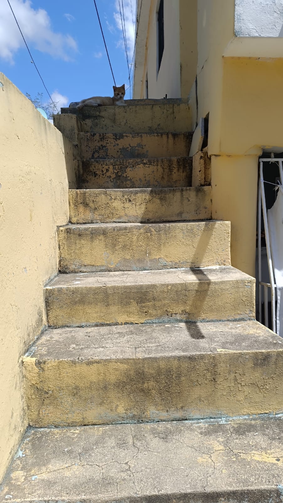 Se vende casas una normal media casa en la Segunda y demás parte atrás Foto 7310548-9.jpg