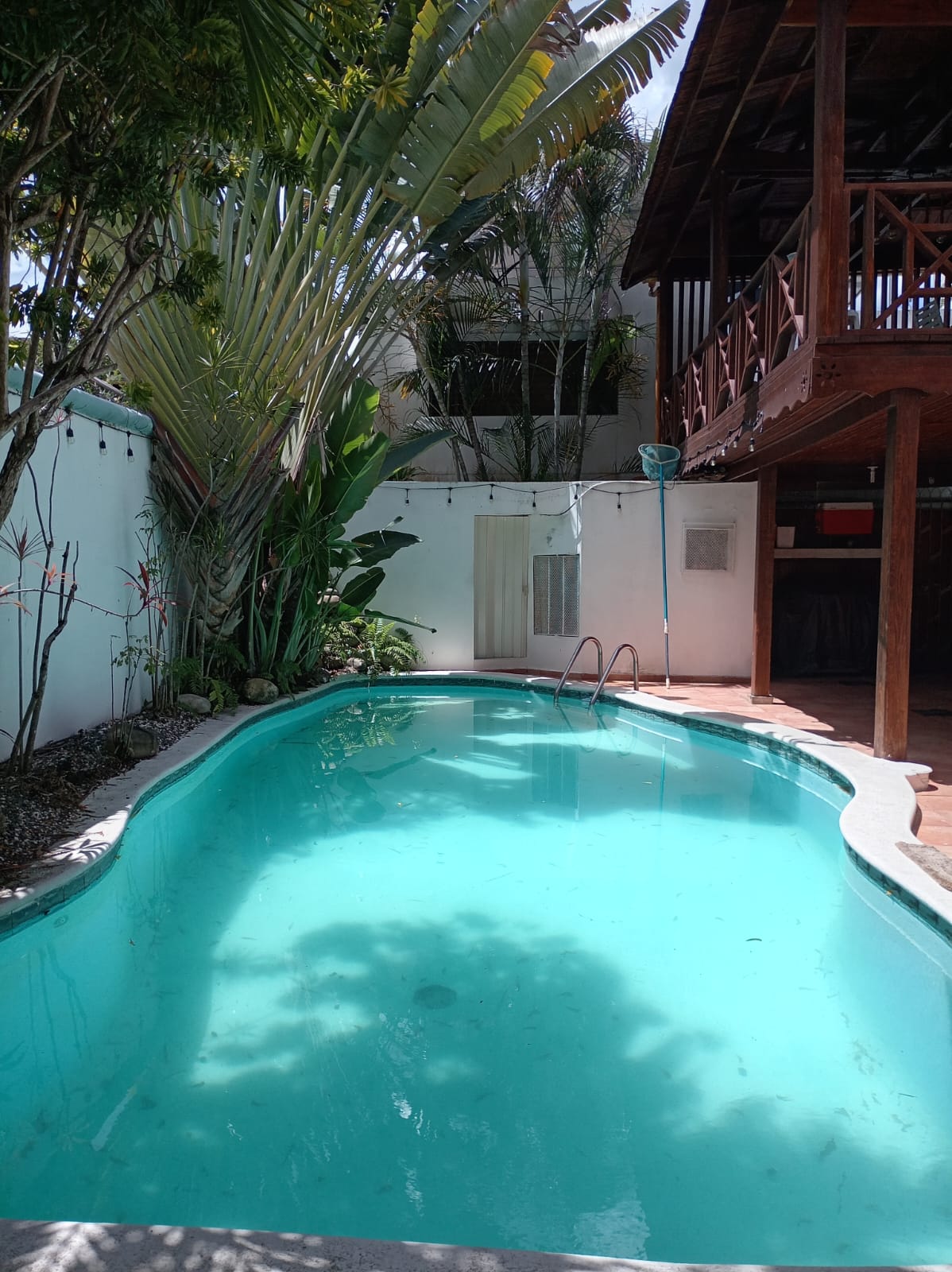 Casa en Alquiler para Uso Comercial en El Fernandez Foto 7310592-2.jpg