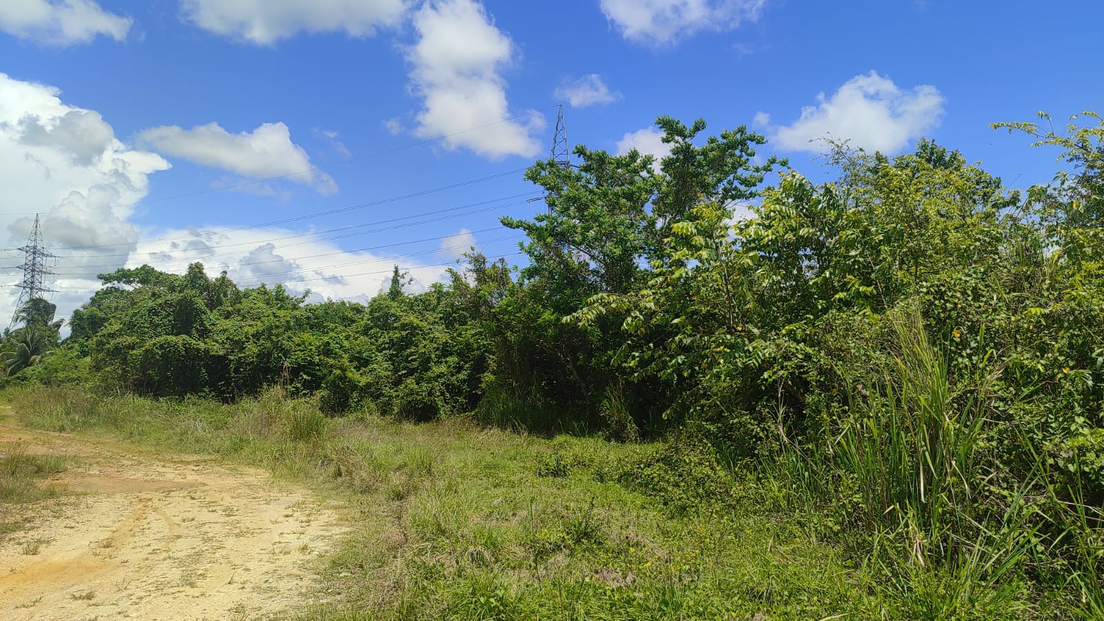 Terreno de 510426.66 Mts2 o fincas de 811.67 tareas Ideal para proyect Foto 7310922-3.jpg