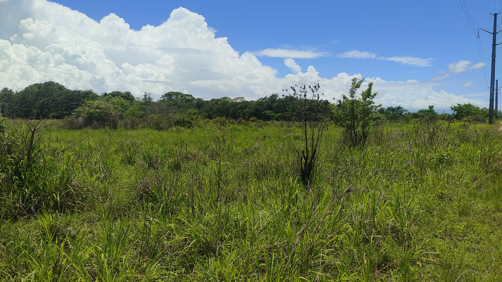 Terreno de 510426.66 Mts2 o fincas de 811.67 tareas Ideal para proyect Foto 7310922-5.jpg